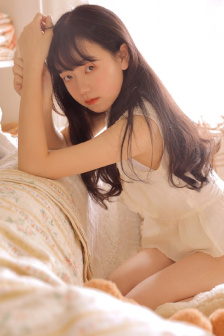屋顶的大象
